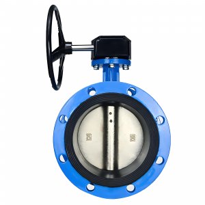 法蘭式蝸輪蝸桿蝶閥DN40，1.6Mpa（橡膠密封